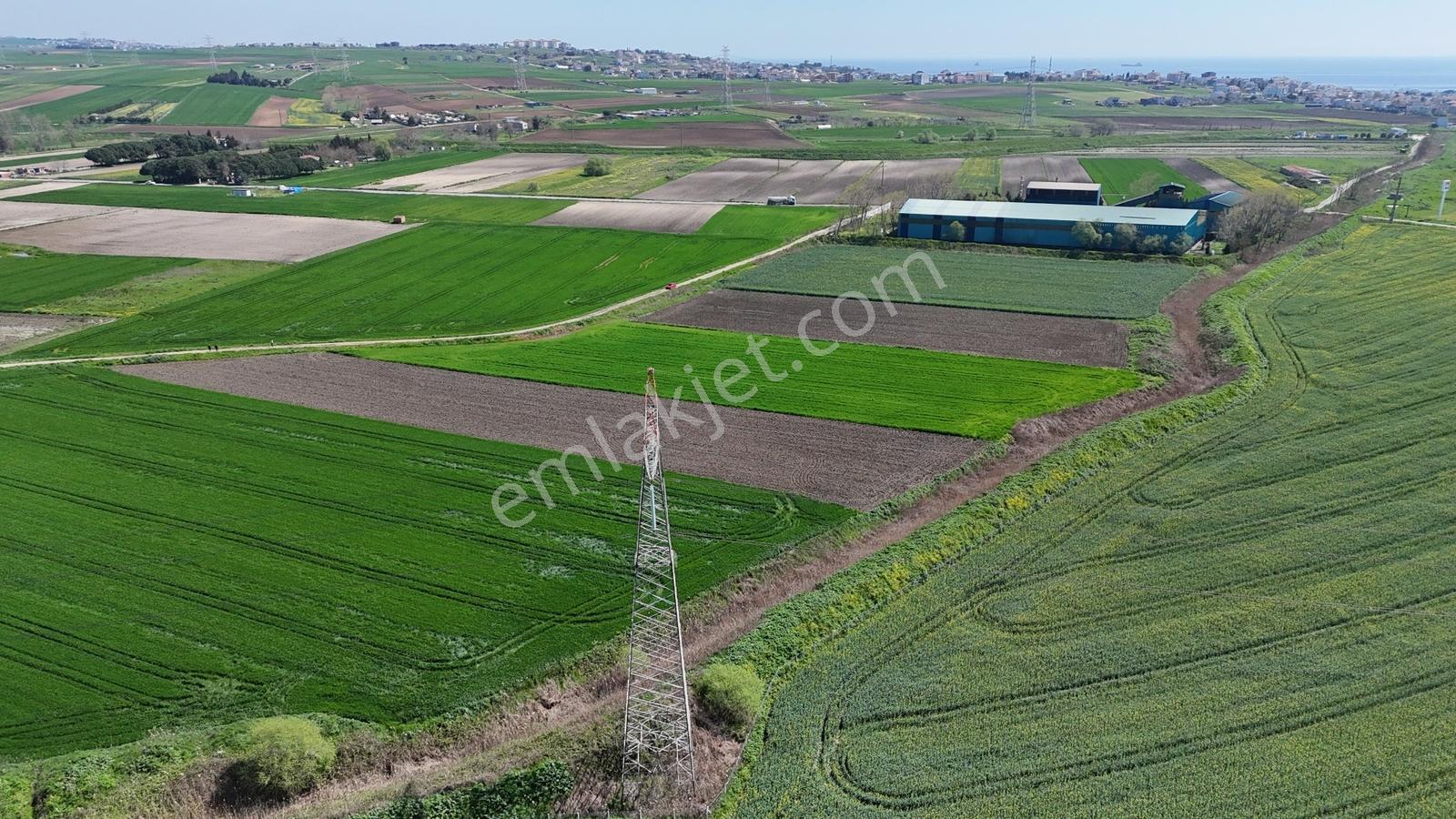 Sultanköy'de Botaş Yakını Satılık Enerji Depolama Arsa Tek Tapu - Görsel 30