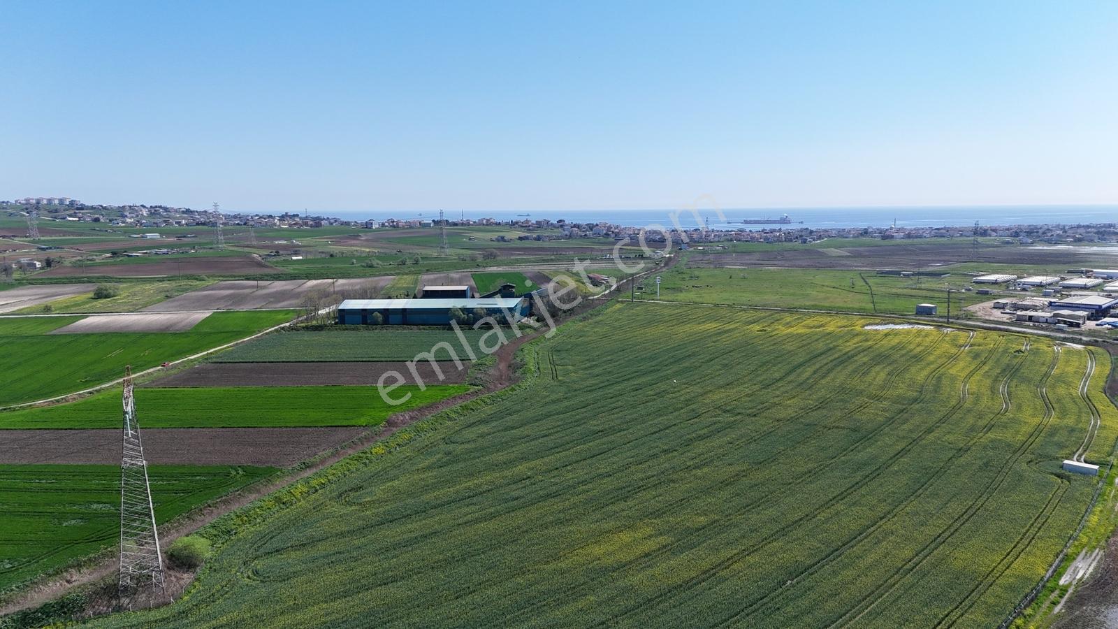 Sultanköy'de Botaş Yakını Satılık Enerji Depolama Arsa Tek Tapu - Görsel 29