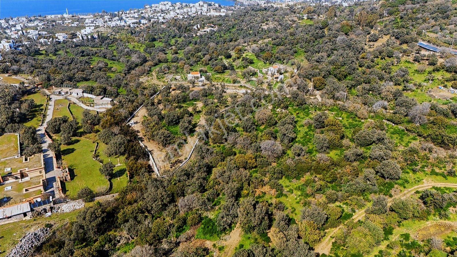 Bodrum Geriş Deniz Manzaralı İmarlı Tarla - Görsel 8