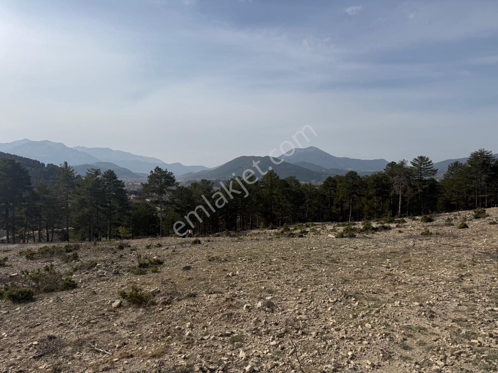 Burdur Gölhisar İbecik'te 5.845 M² Tek Tapu Satılık Tarla | Ceviz İçin Uygun | Takasa Açık - Görsel 27