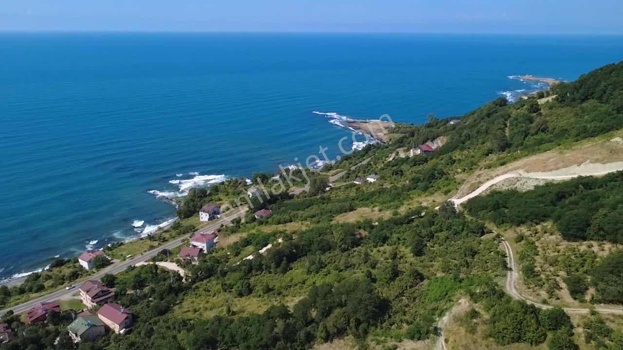 Vestha'dan Yason Kilisesi Yakını 2.459 M² İmarlı Arsa - Görsel 4