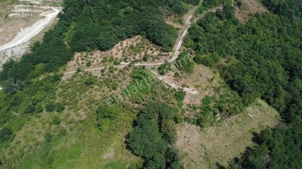 Vestha'dan Yason Kilisesi Yakını 2.459 M² İmarlı Arsa - Görsel 20