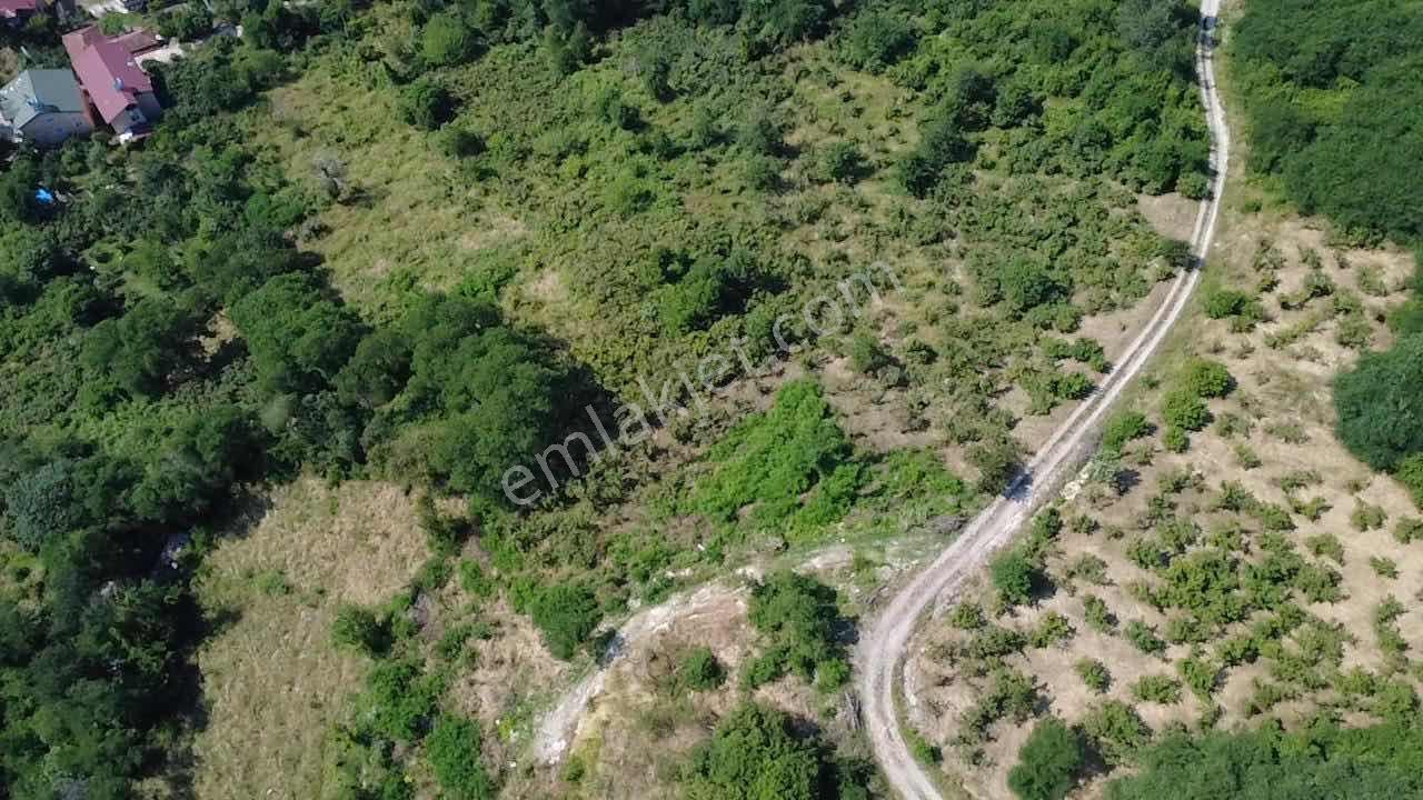 Vestha'dan Yason Kilisesi Yakını 2.459 M² İmarlı Arsa - Görsel 2