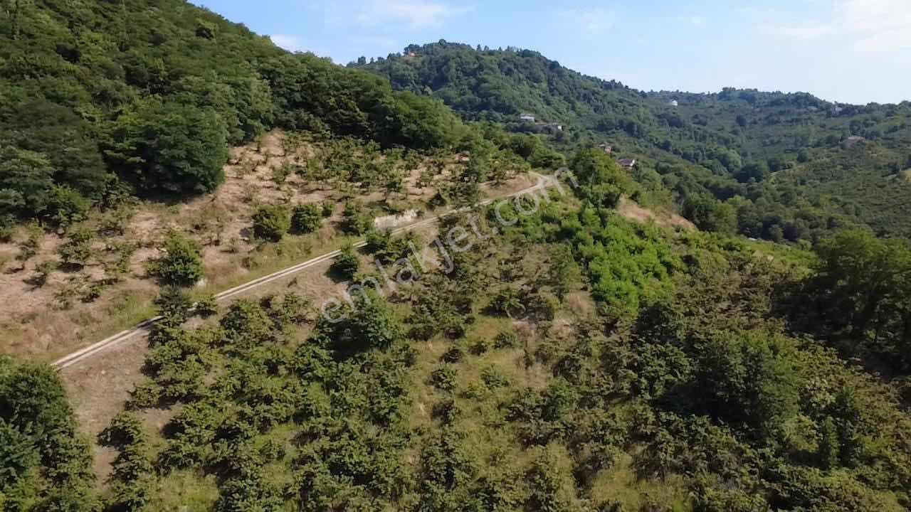 Vestha'dan Yason Kilisesi Yakını 2.459 M² İmarlı Arsa - Görsel 17