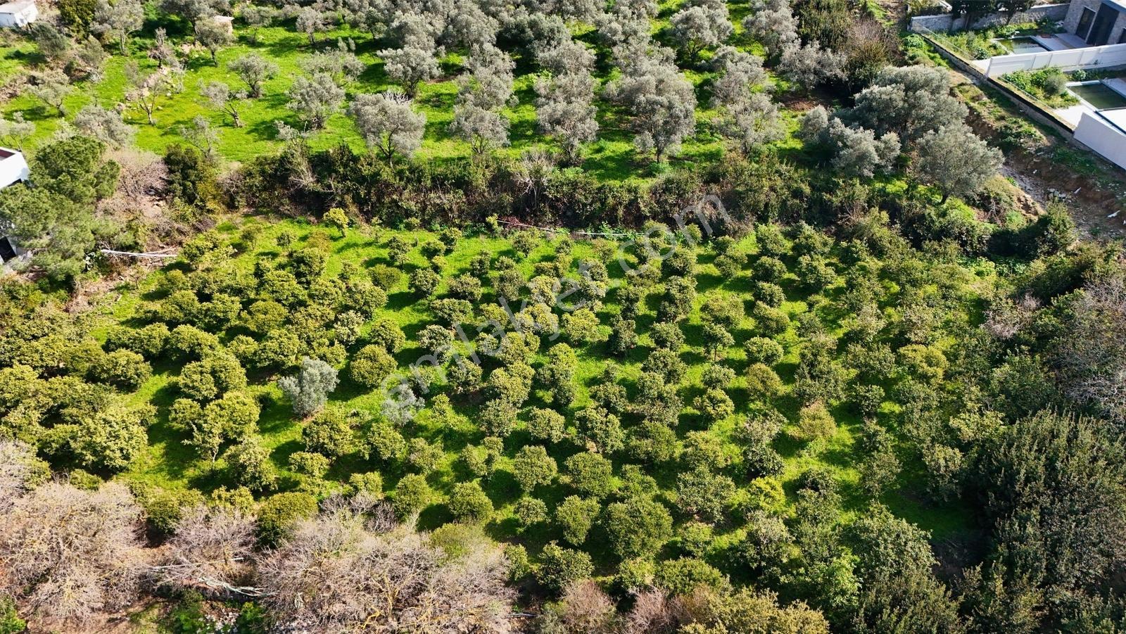 Yalıkavak Geriş Deniz Manzaralı Konut İmarlı Arsa Fırsat Fiyat - Görsel 12