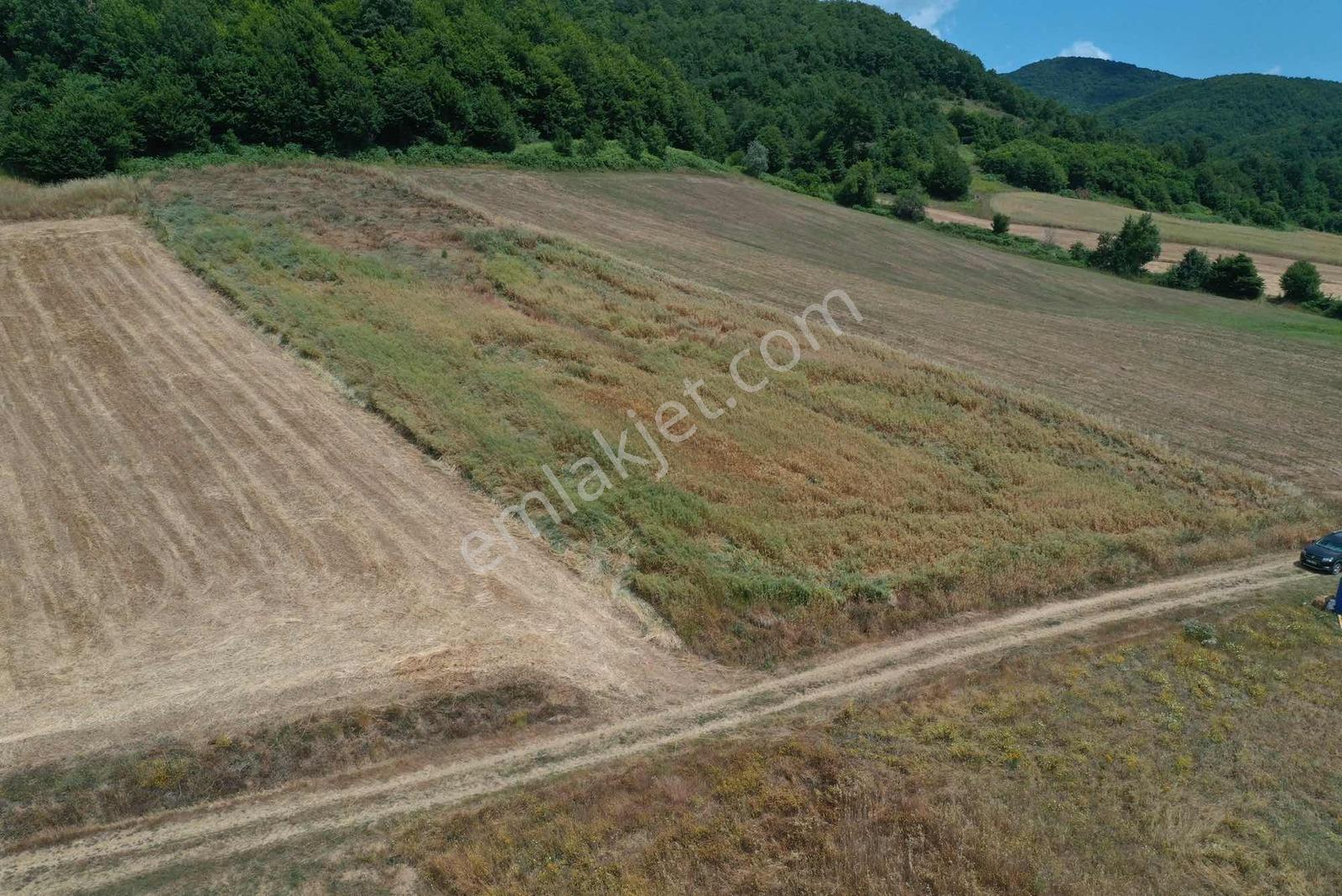 Derince Karagöllü'de Fırsat Rakama 4.000m² Satılık İmarlı - Görsel 9