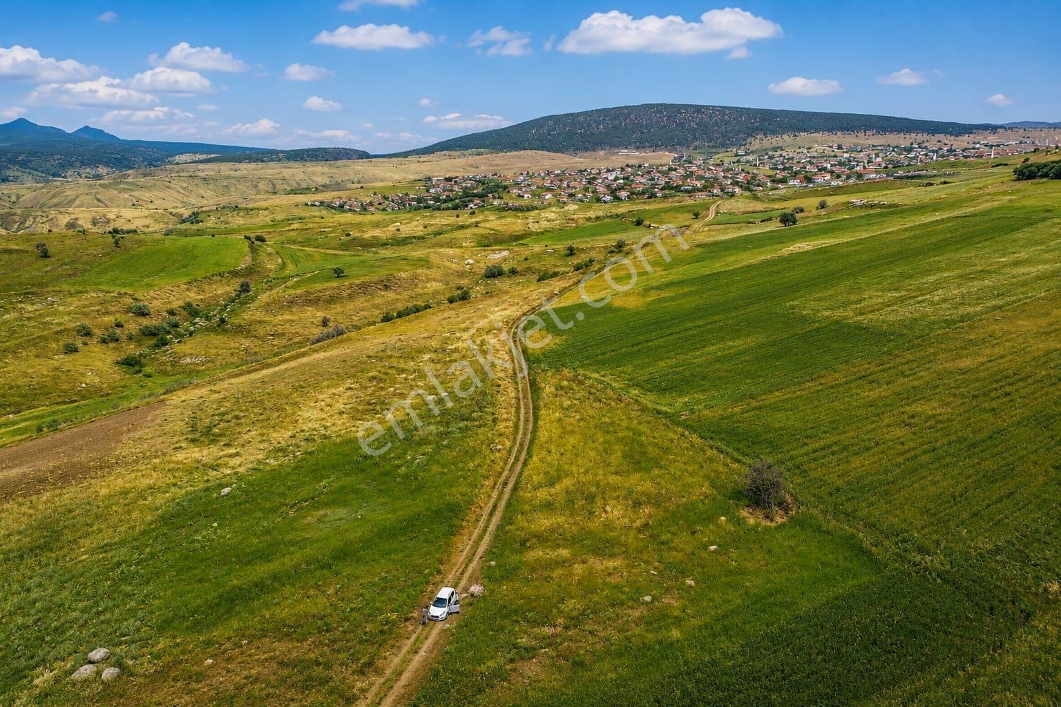 Suğla Gölü'ne Ve İlçeye Yakin Muhteşem Bahçelik Arazi - Görsel 8