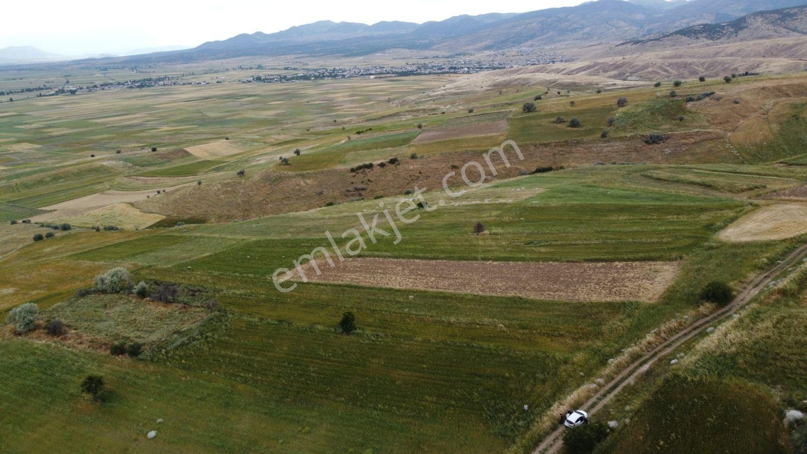 Suğla Gölü'ne Ve İlçeye Yakin Muhteşem Bahçelik Arazi - Görsel 16