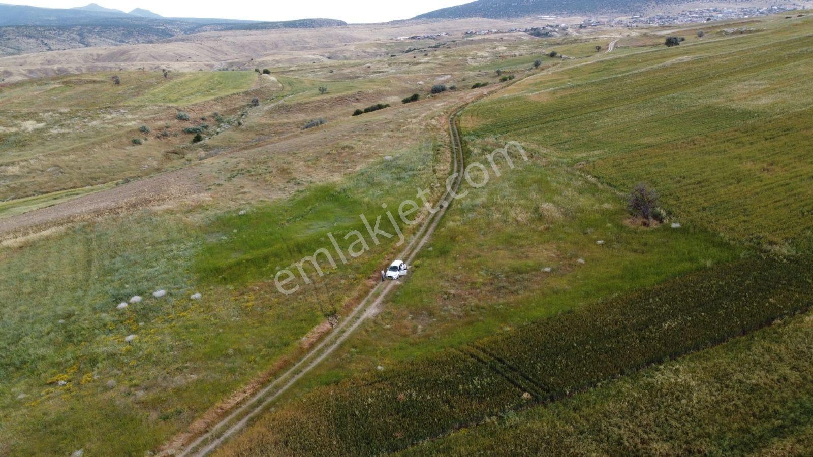 Suğla Gölü'ne Ve İlçeye Yakin Muhteşem Bahçelik Arazi - Görsel 9