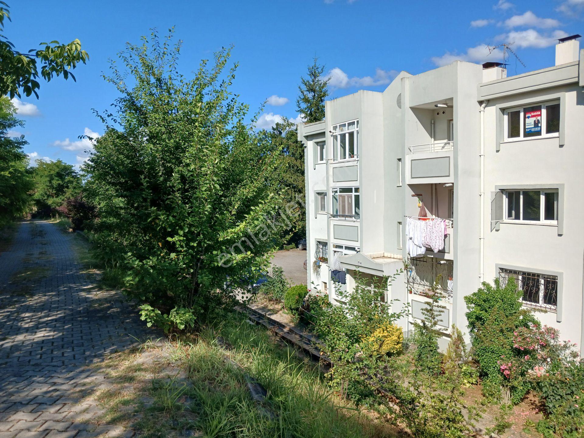 Remax Design Sakarya Korucukta Site İçi 2+1 Satılık Daire
