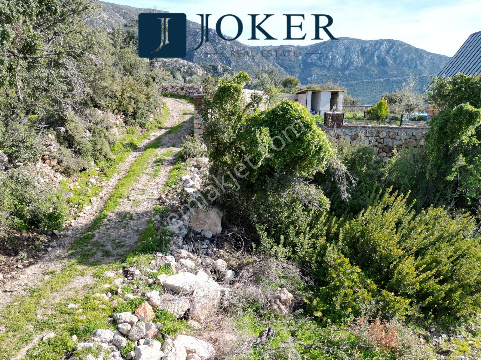 Joker: Marmaris Söğüt Deniz Manzaralı Değerli Konum Tarla - Görsel 4