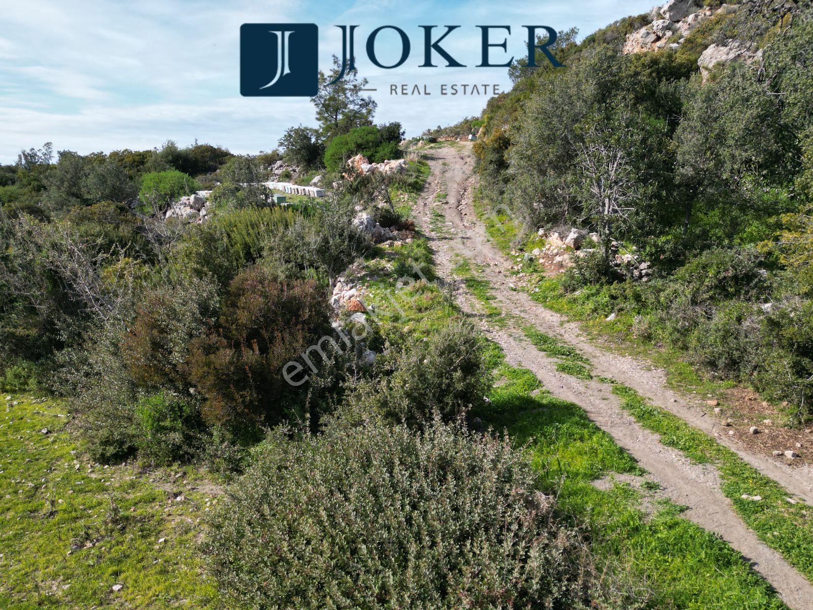 Joker: Marmaris Söğüt Deniz Manzaralı Değerli Konum Tarla - Görsel 6