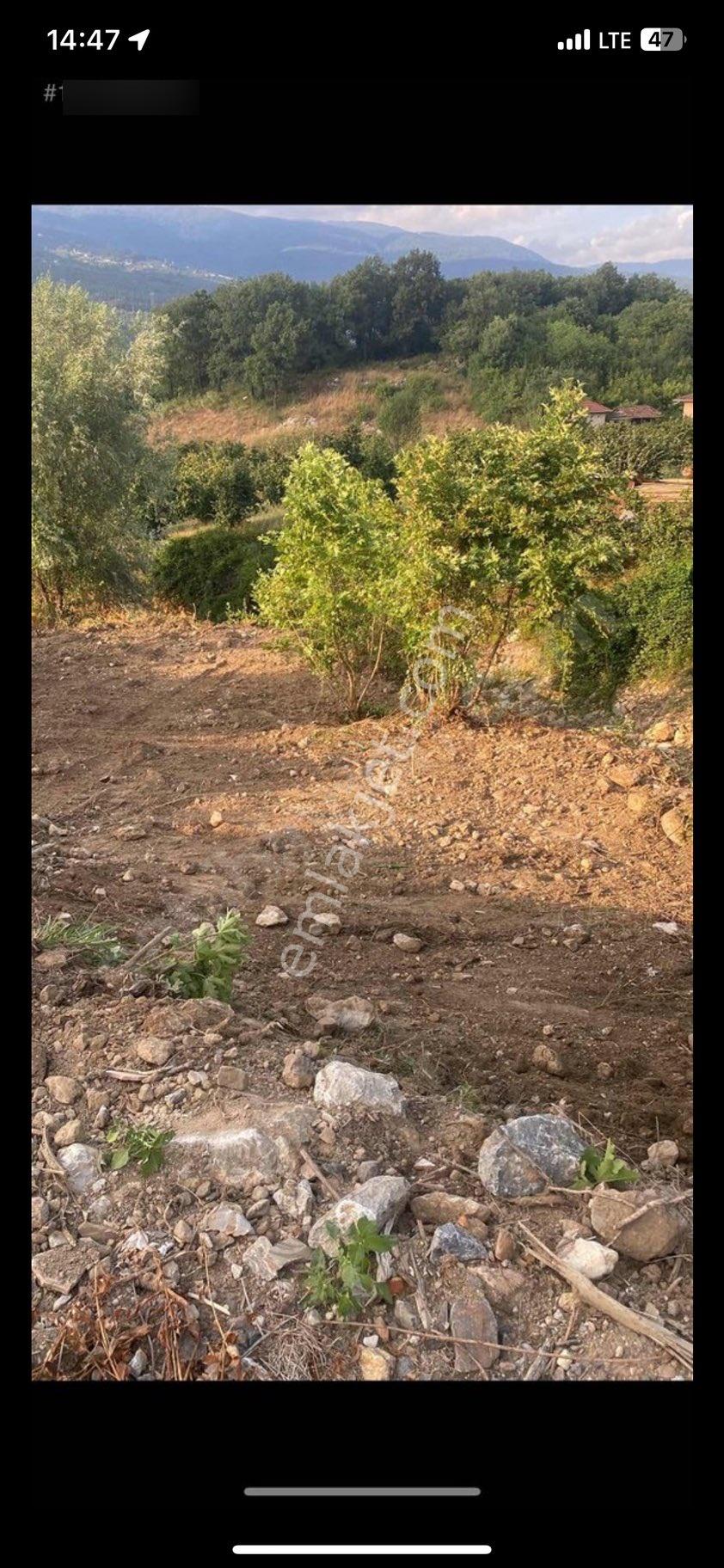 Arsa Arazi Akyazı Sakarya - Görsel 5