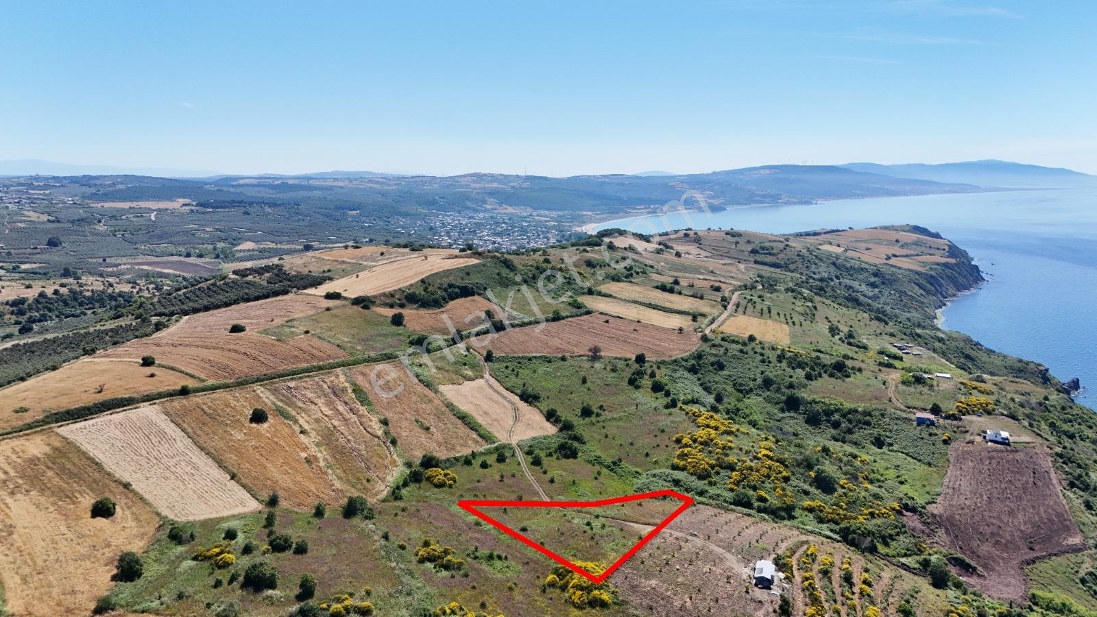 Mudanya Yalıçiflikte Deniz Manzaralı Satılık Tarla - Görsel 19