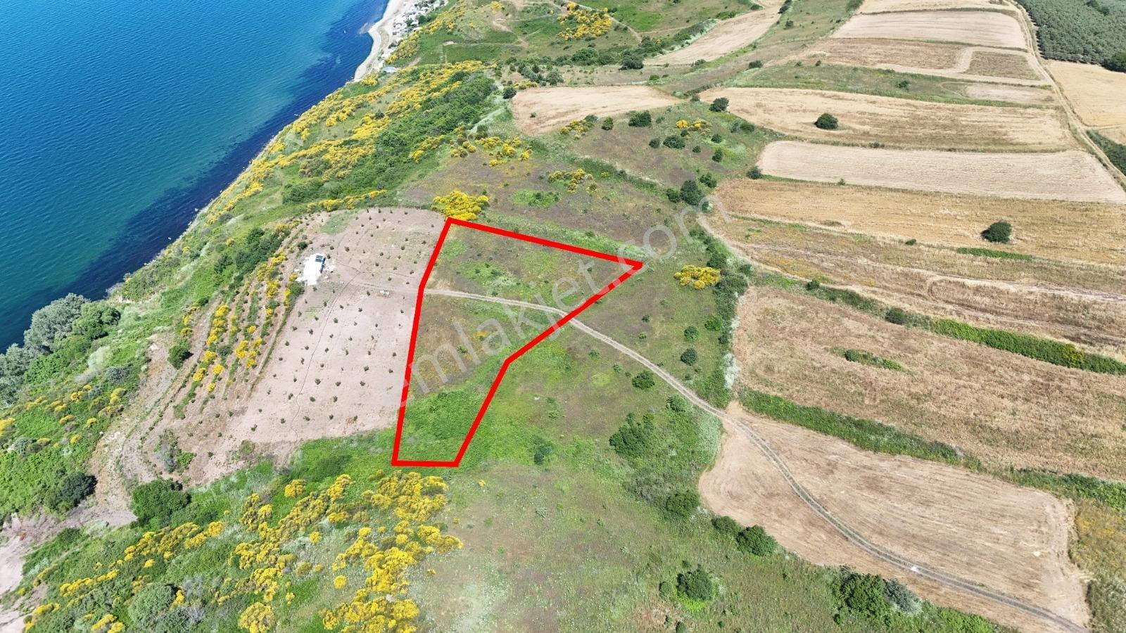 Mudanya Yalıçiflikte Deniz Manzaralı Satılık Tarla - Görsel 15
