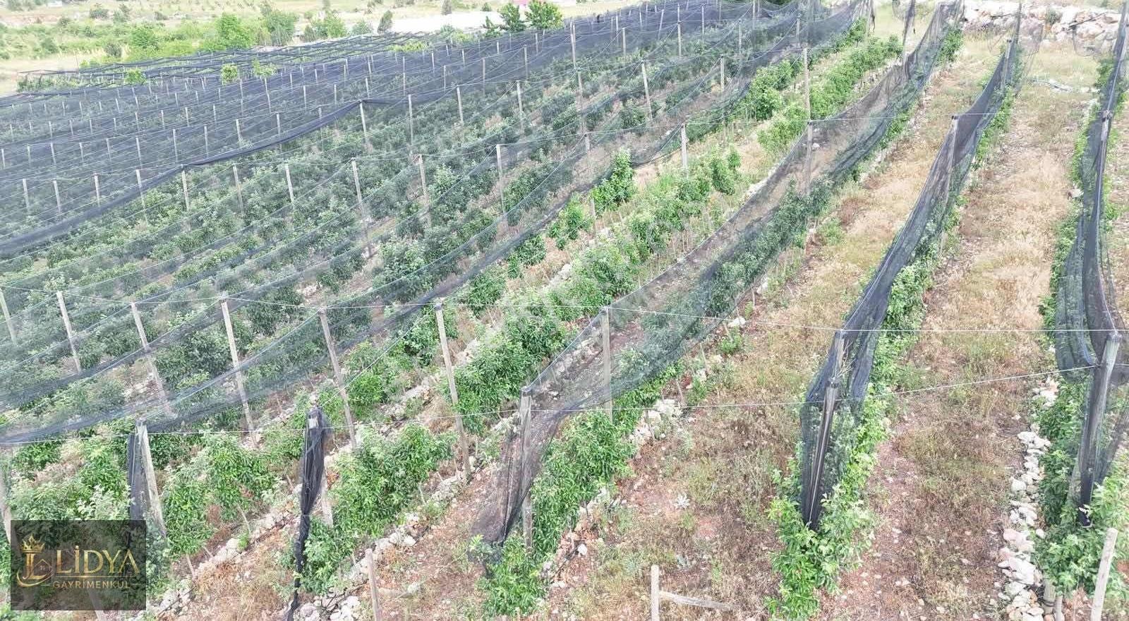 Kızılen Mahallesi Satılık 600 M2 Ev Yapımına Uygun Arsa - Görsel 6