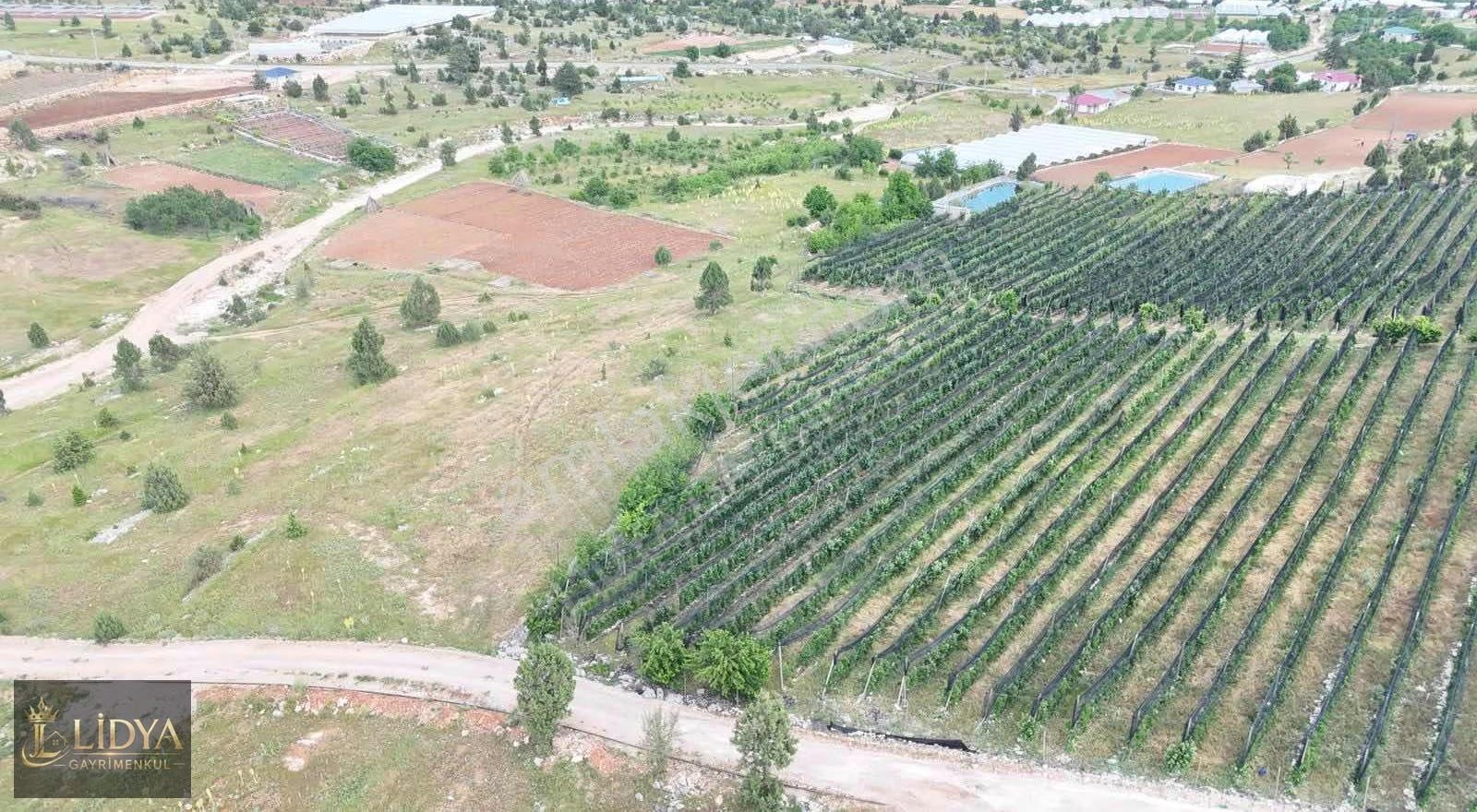 Kızılen Mahallesi Satılık 600 M2 Ev Yapımına Uygun Arsa - Görsel 10