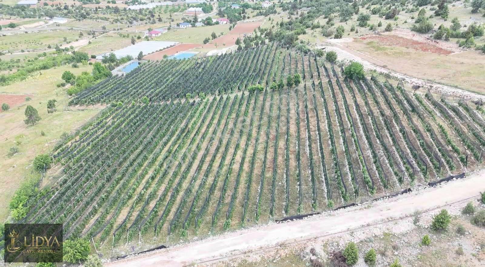Kızılen Mahallesi Satılık 600 M2 Ev Yapımına Uygun Arsa - Görsel 7