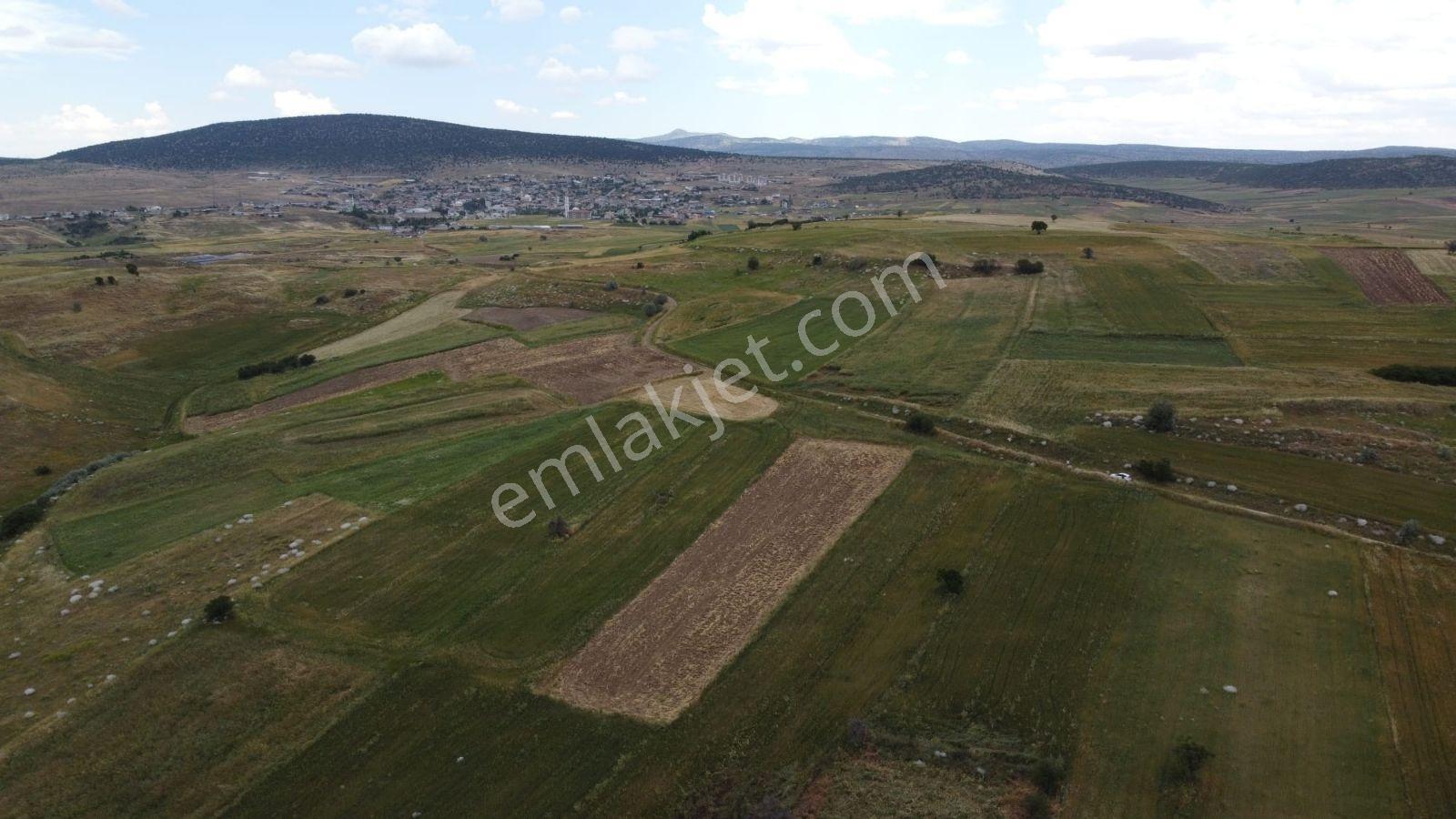 İlçe Merkezi Ve Suğla Gölüne Yakin Kelepir Arazi