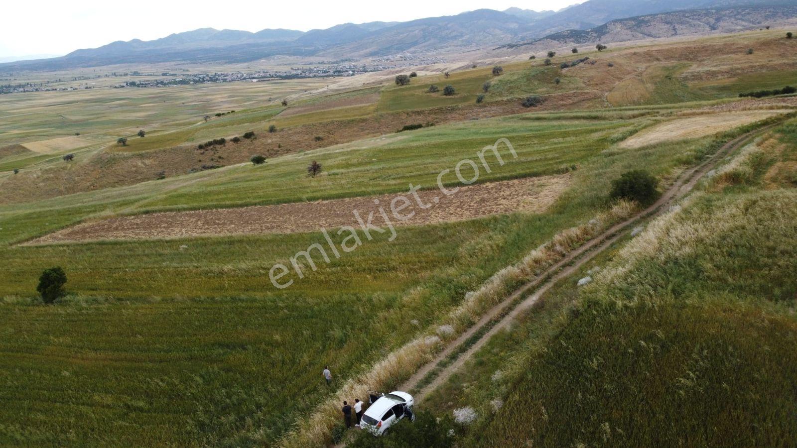 İlçe Merkezi Ve Suğla Gölüne Yakin Kelepir Arazi - Görsel 6