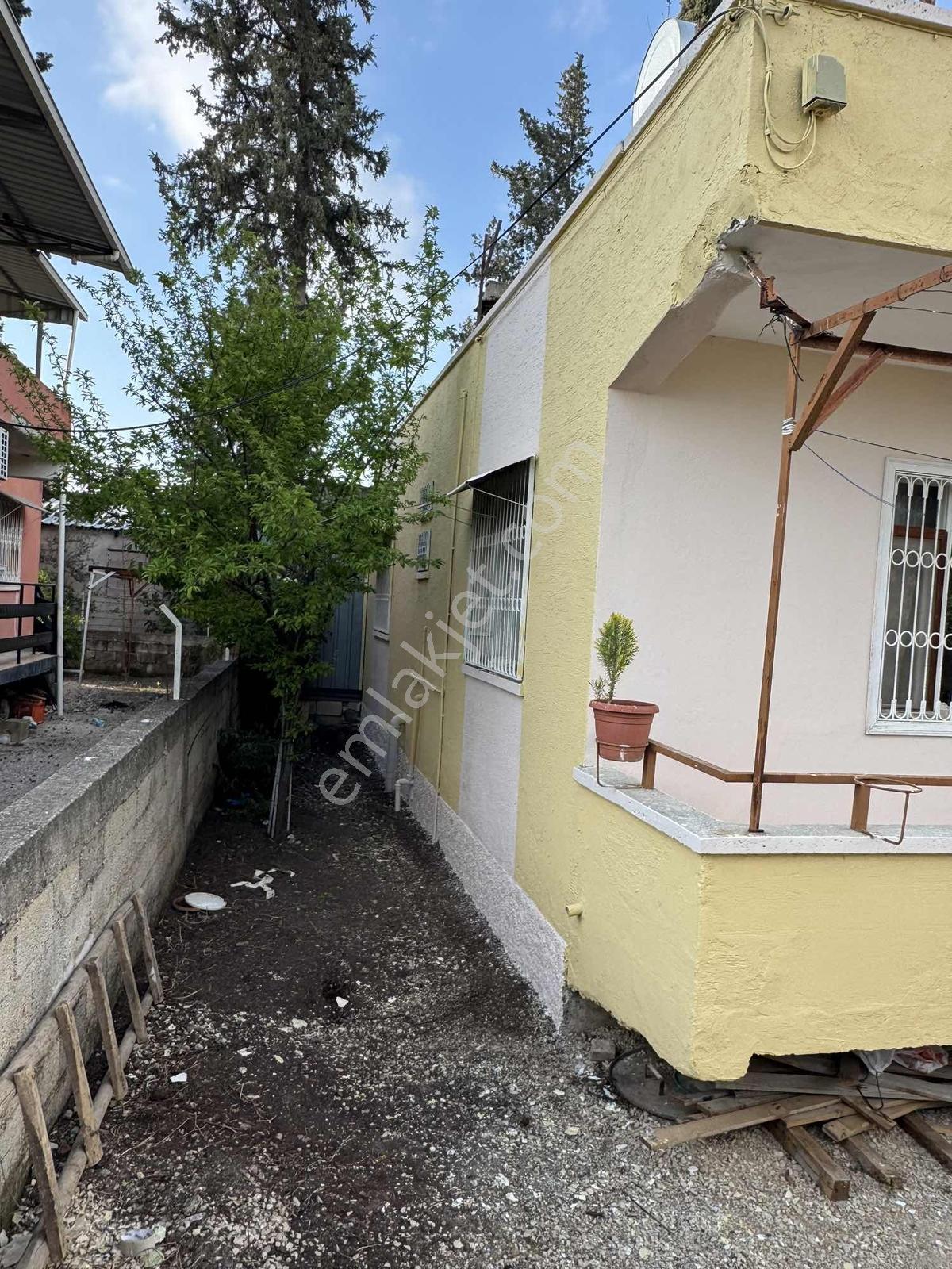 Umut Balta Gayrimenkul'den Büyük Mangıt'ta Satılık Müstakil Ev - Görsel 21