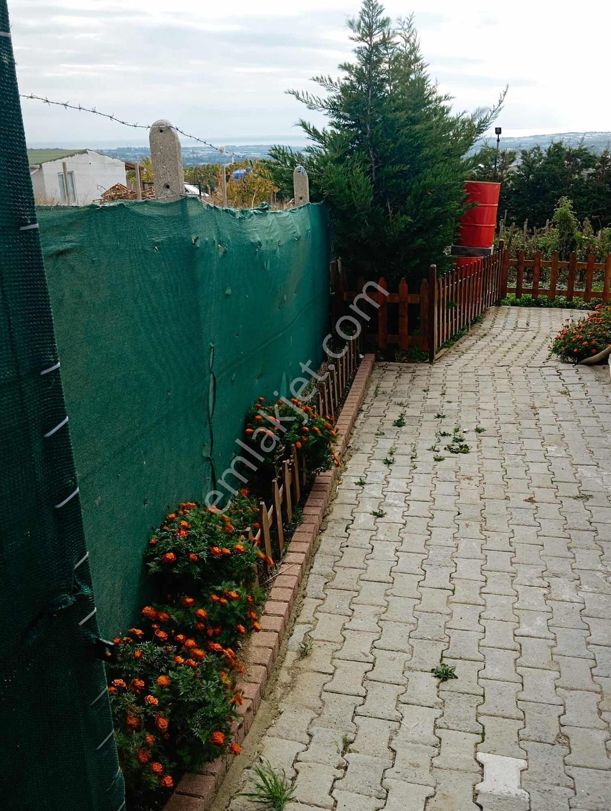 Silivri Ortaköy'de Satılık Yazlık Ev - Görsel 18