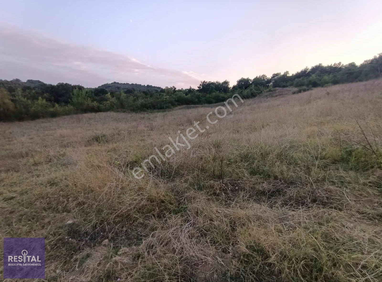 M.kemalpaşa 14.150m2 Satılık Tarla - Görsel 3
