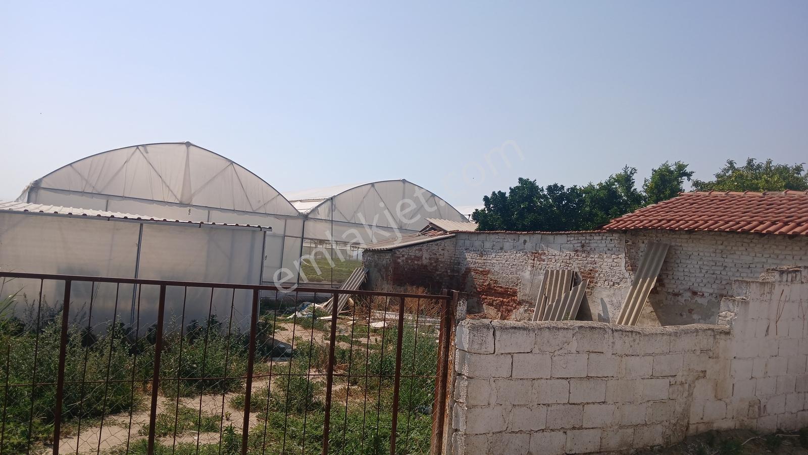 Yazıdere'de Üzerinde 1920 M² Serası Olan 2.954 Arsa Satılıktır - Görsel 4