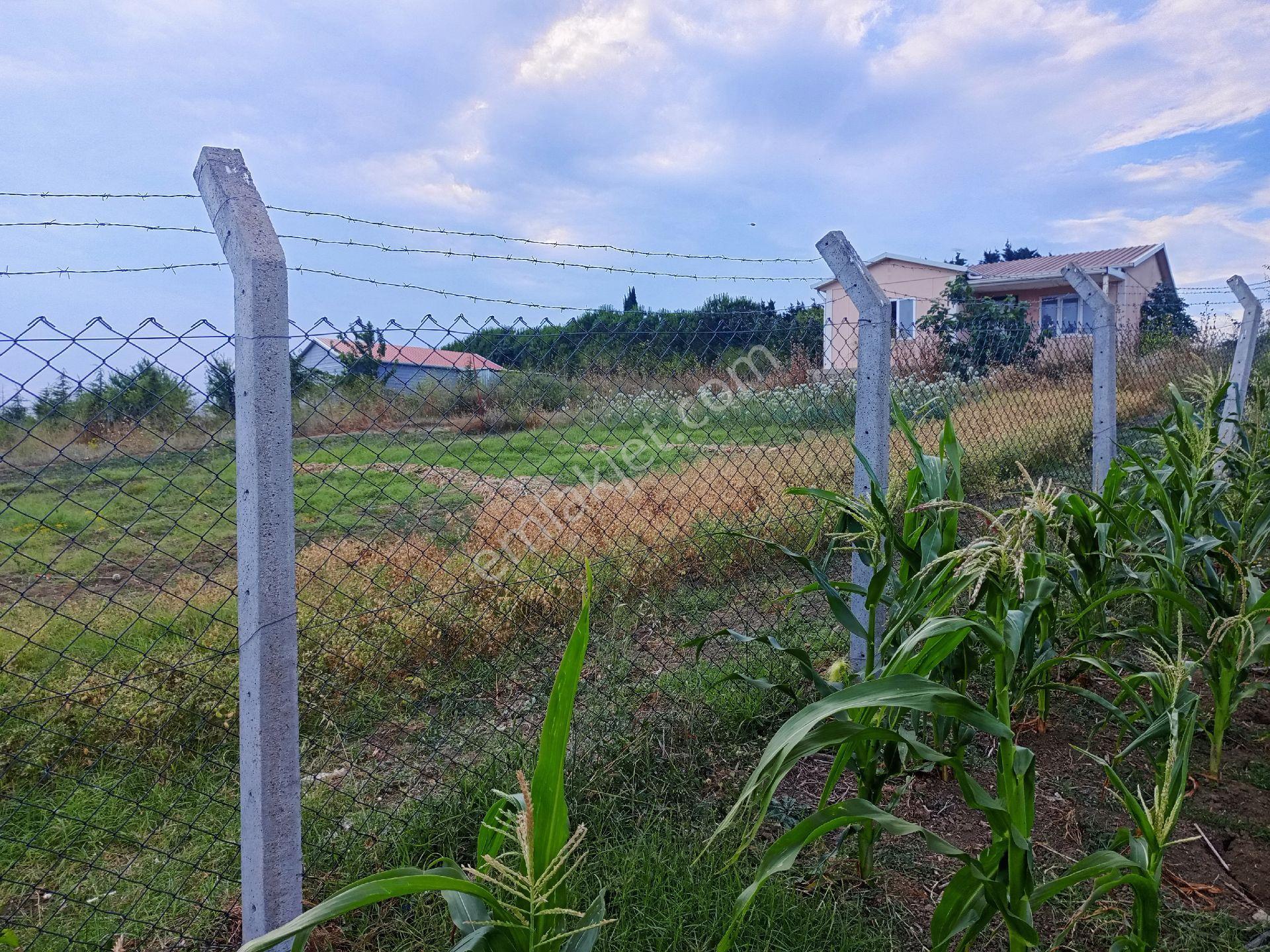 Satılık Müstakil 956 Metre Gazitepe Mahallesi Bağlar Mevki - Görsel 3