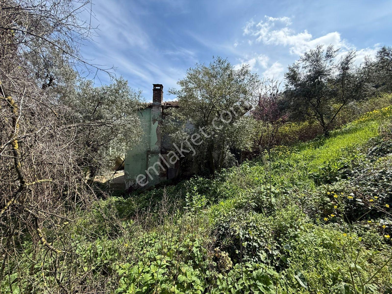 Elfaris Güvencesiyle Paşapınar'da 3 Evli 600m2 Arsa - Görsel 47