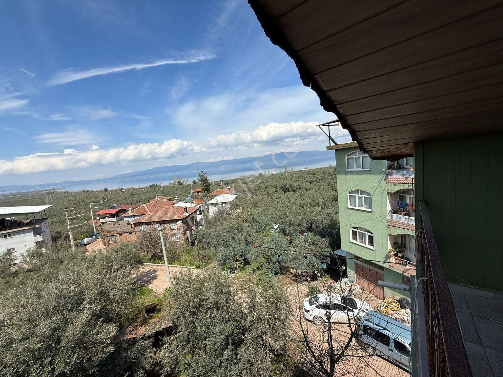 Elfaris Güvencesiyle Paşapınar'da 3 Evli 600m2 Arsa