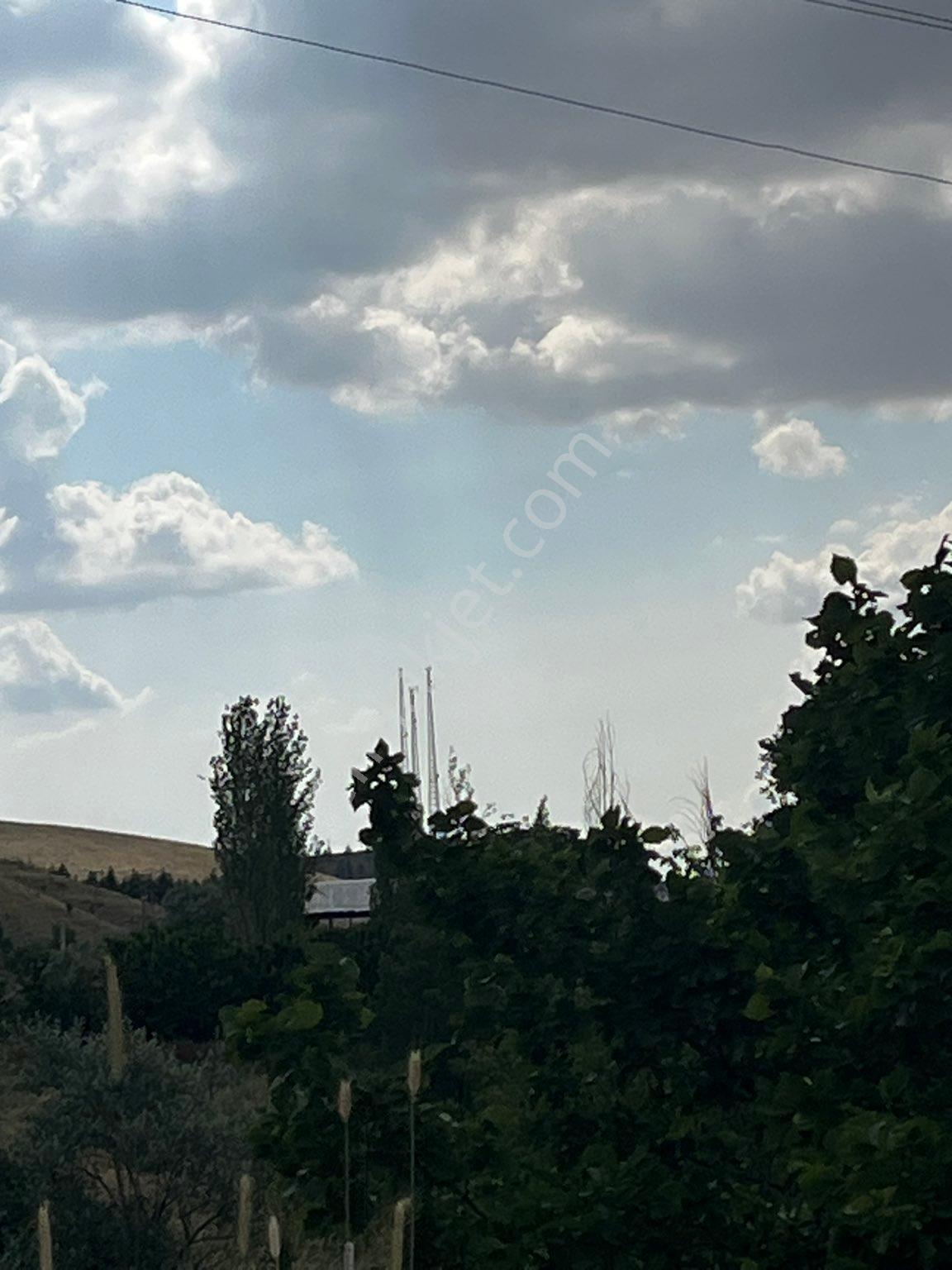 Ulukışlada Satılık Ceviz Ve Üzüm Bağı - Görsel 15