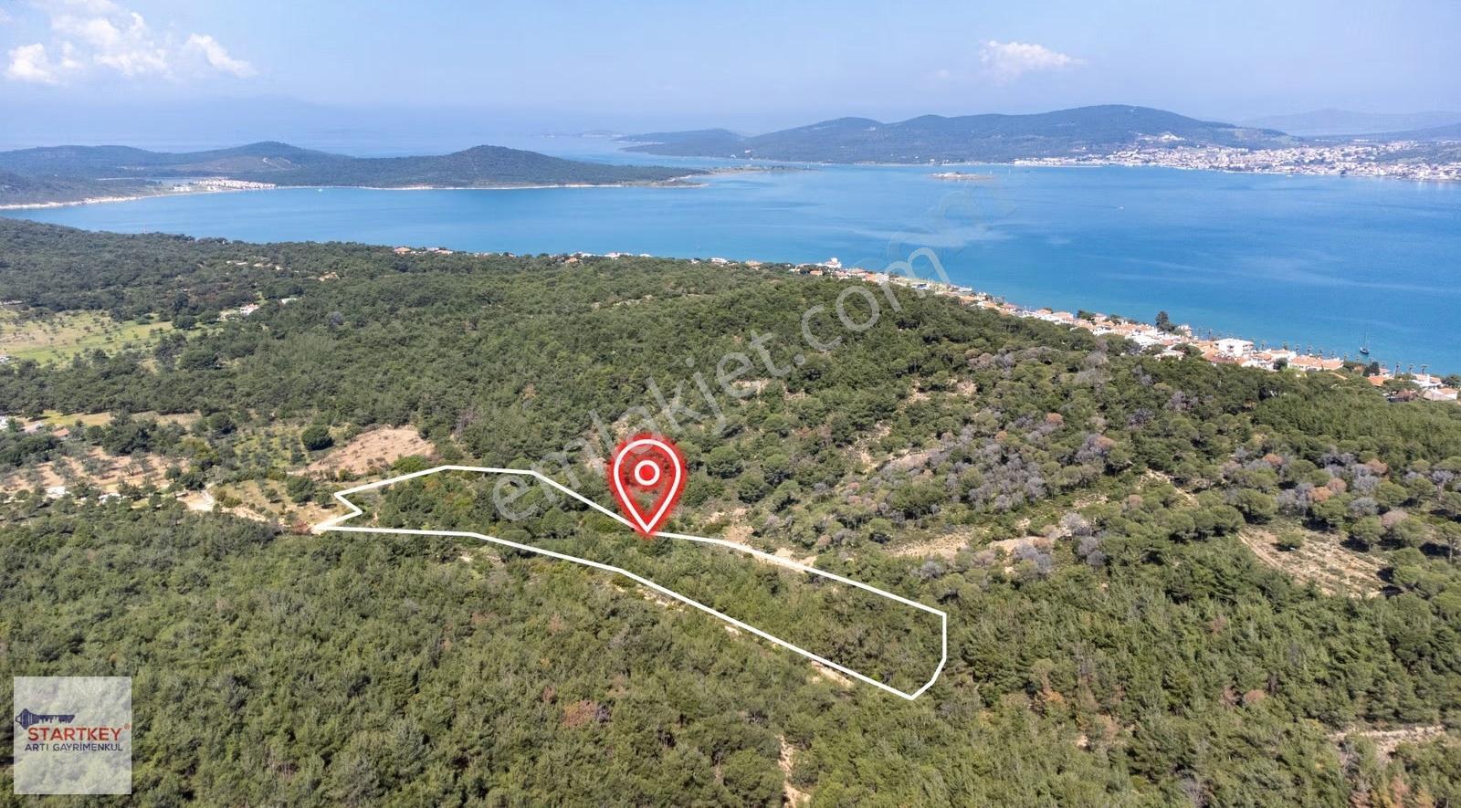 Ayvalık Sefa Çamlık Mahallesi Satılık Arazi - Görsel 6