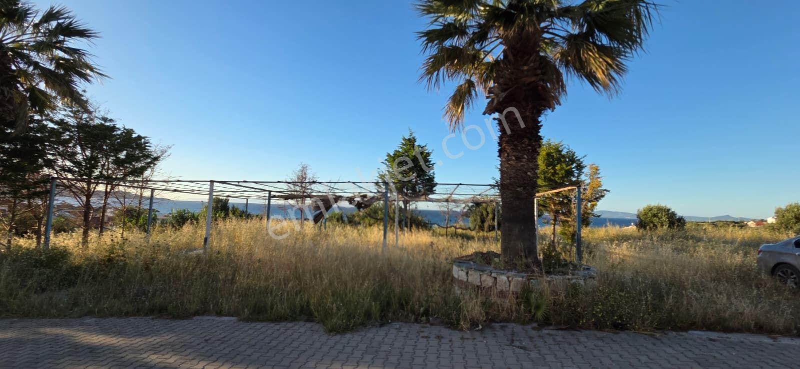 Mordoğan'da Ardıç Plajı Kapanmaz Deniz Manzaralı 18 Odalı Motel - Görsel 5