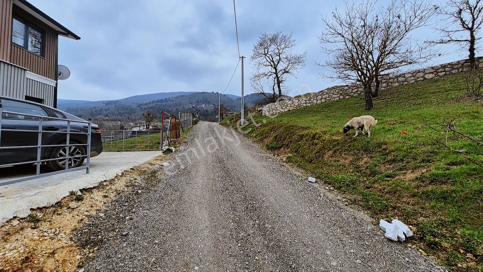 K2 Pera Bursa Atlasköy 835 M2 Tek Tapu Arazi İçinde 2+1 Huzur - Görsel 14