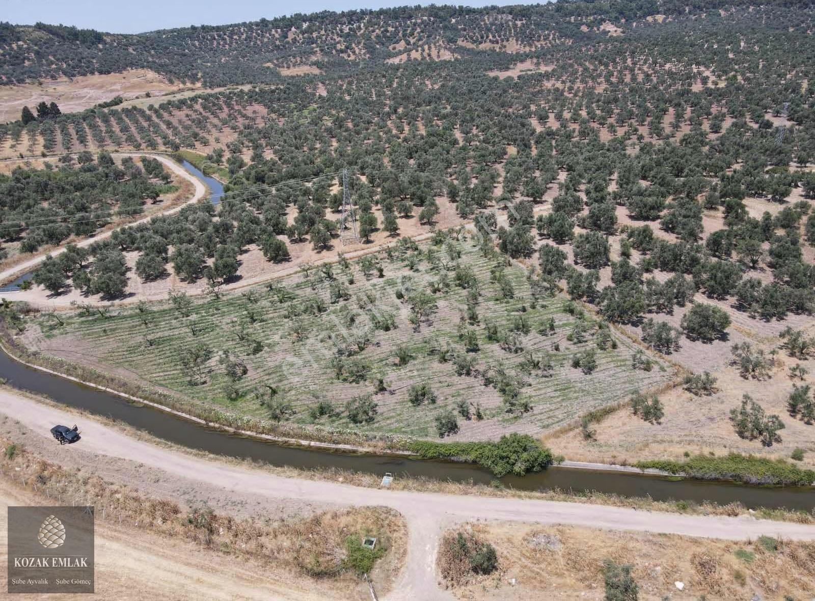 Ayvalık Mutluköyde Satılık 2 Tapulu Zeytinlik - Görsel 6