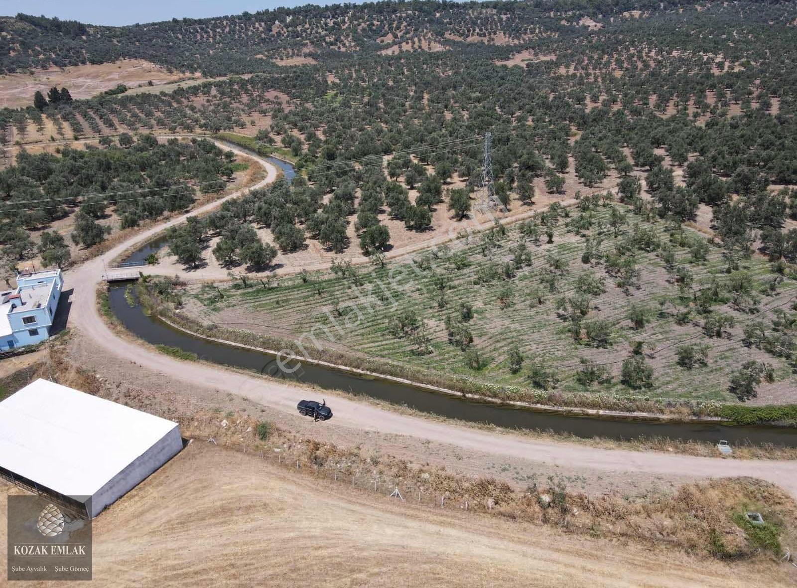 Ayvalık Mutluköyde Satılık 2 Tapulu Zeytinlik - Görsel 16