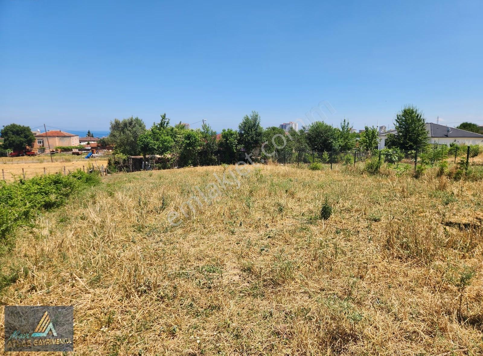 Mavi Atlas'tan Büyükoyumca'da 567 M2 Villalık Arsa - Görsel 6