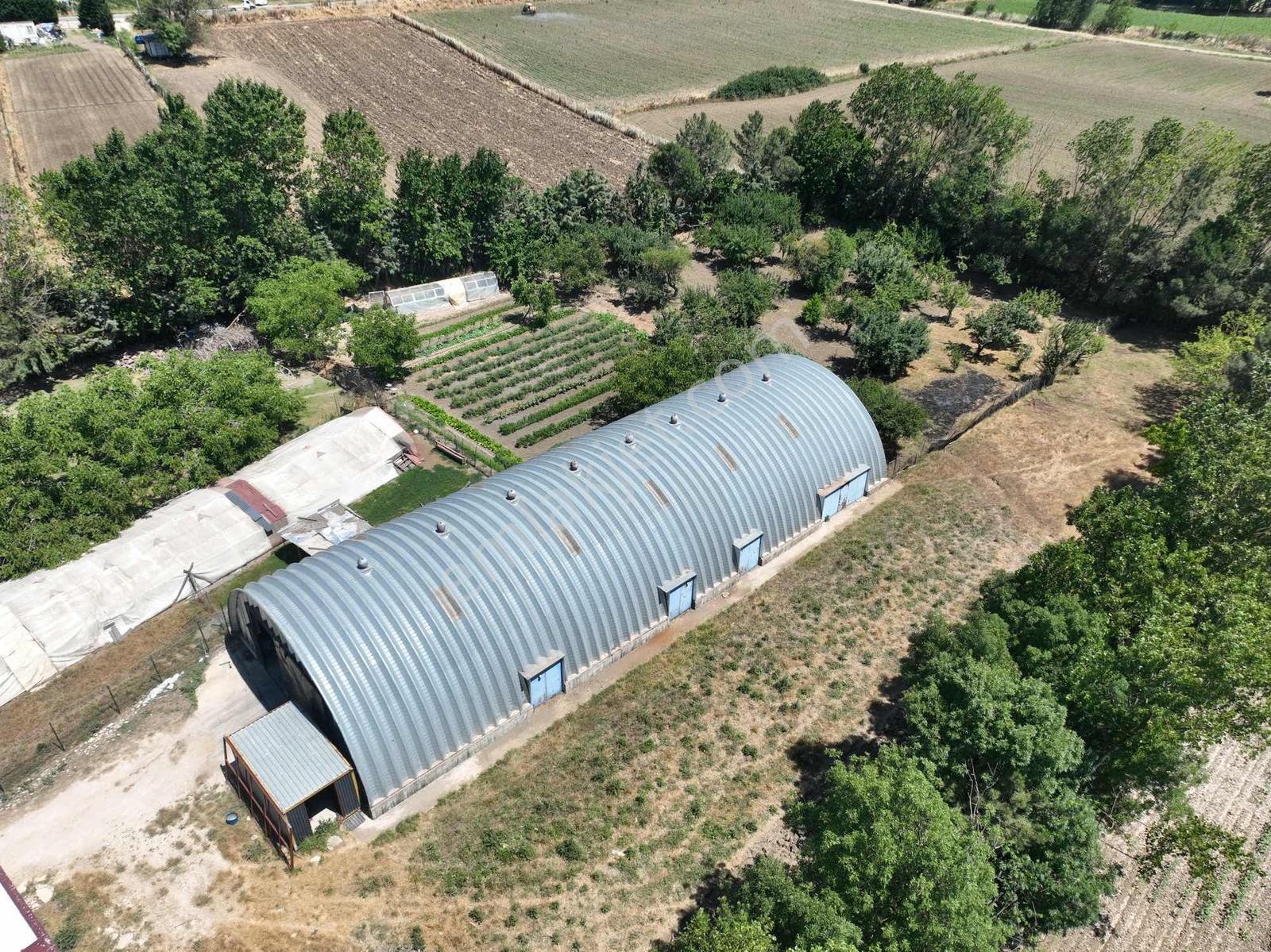 Çatalca'da Kaçırılmayacak Fırsat! 8.800 M² Kurulu Çiftlik - Görsel 28