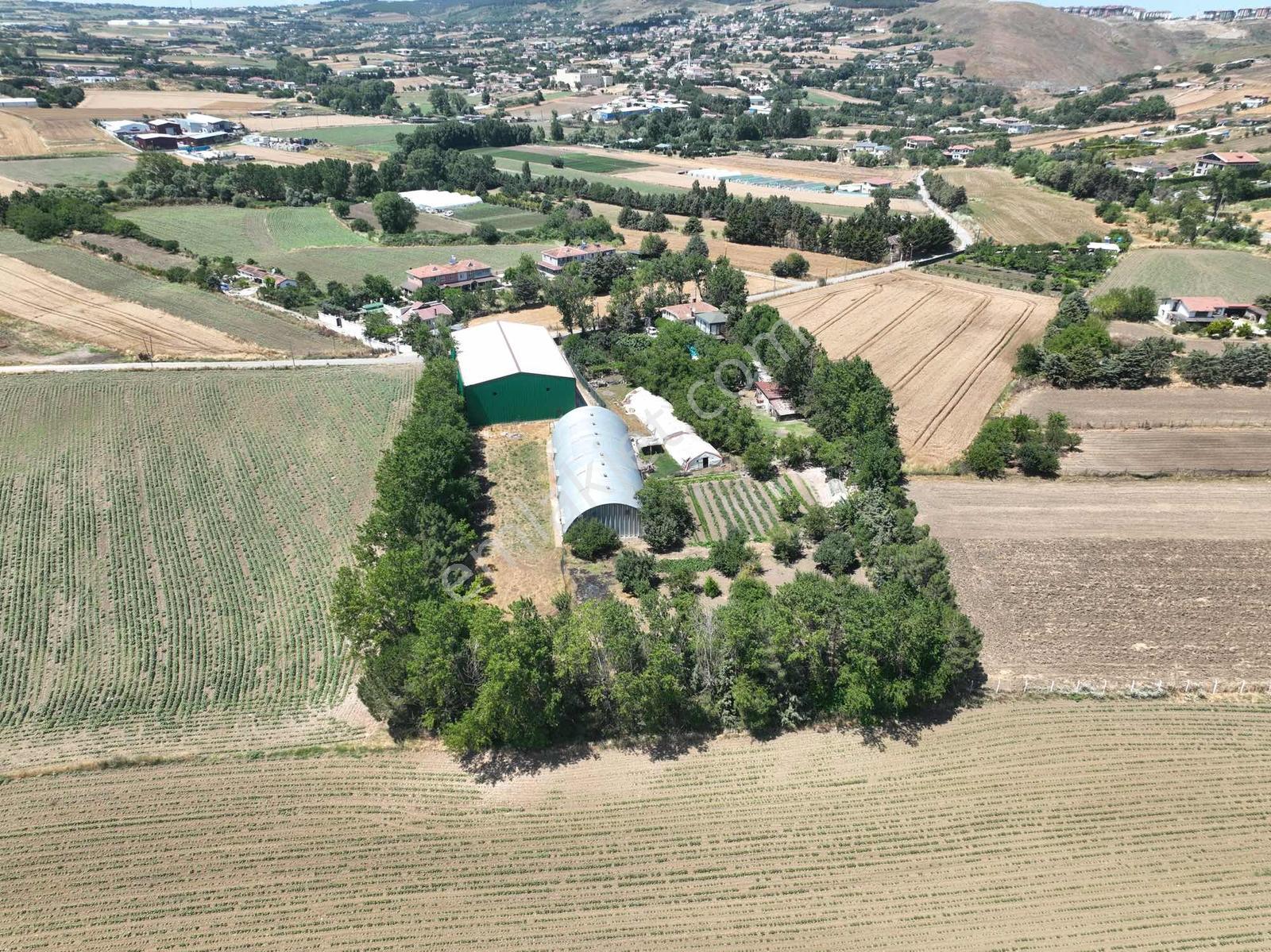 Çatalca'da Kaçırılmayacak Fırsat! 8.800 M² Kurulu Çiftlik - Görsel 12