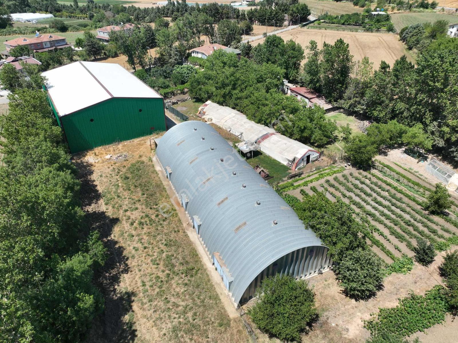 Çatalca'da Kaçırılmayacak Fırsat! 8.800 M² Kurulu Çiftlik - Görsel 9