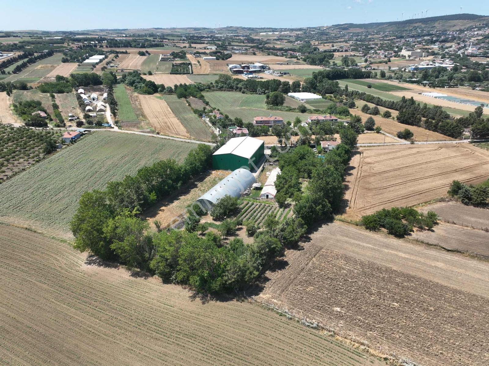 Çatalca'da Kaçırılmayacak Fırsat! 8.800 M² Kurulu Çiftlik - Görsel 16