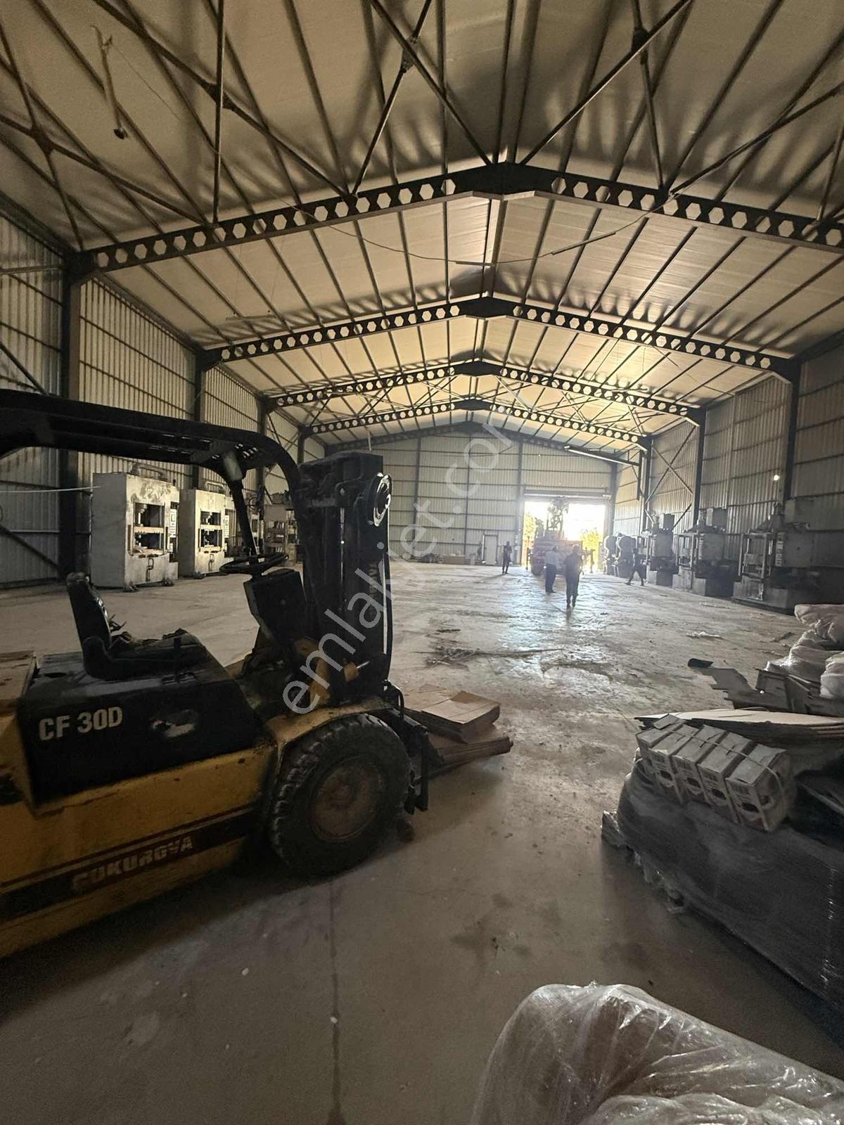 Çatalca'da Kaçırılmayacak Fırsat! 8.800 M² Kurulu Çiftlik - Görsel 32
