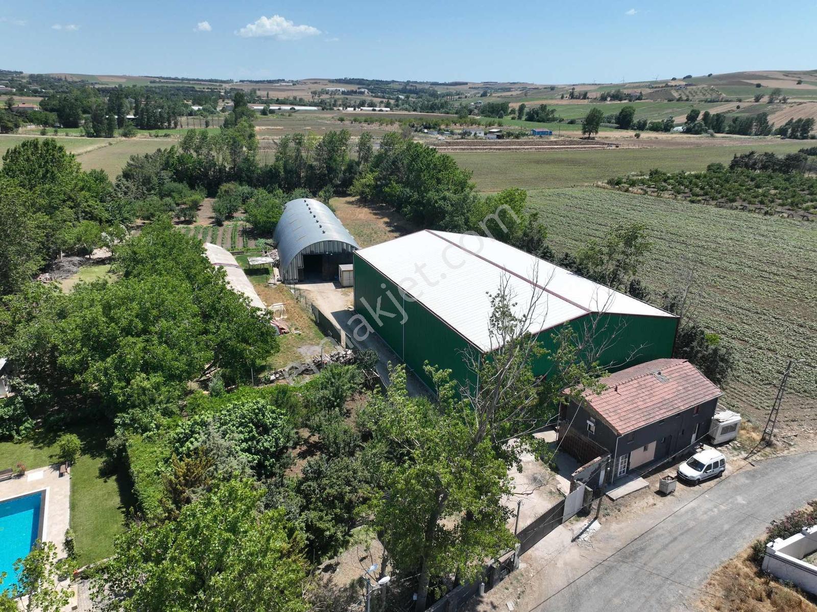 Çatalca'da Kaçırılmayacak Fırsat! 8.800 M² Kurulu Çiftlik - Görsel 22