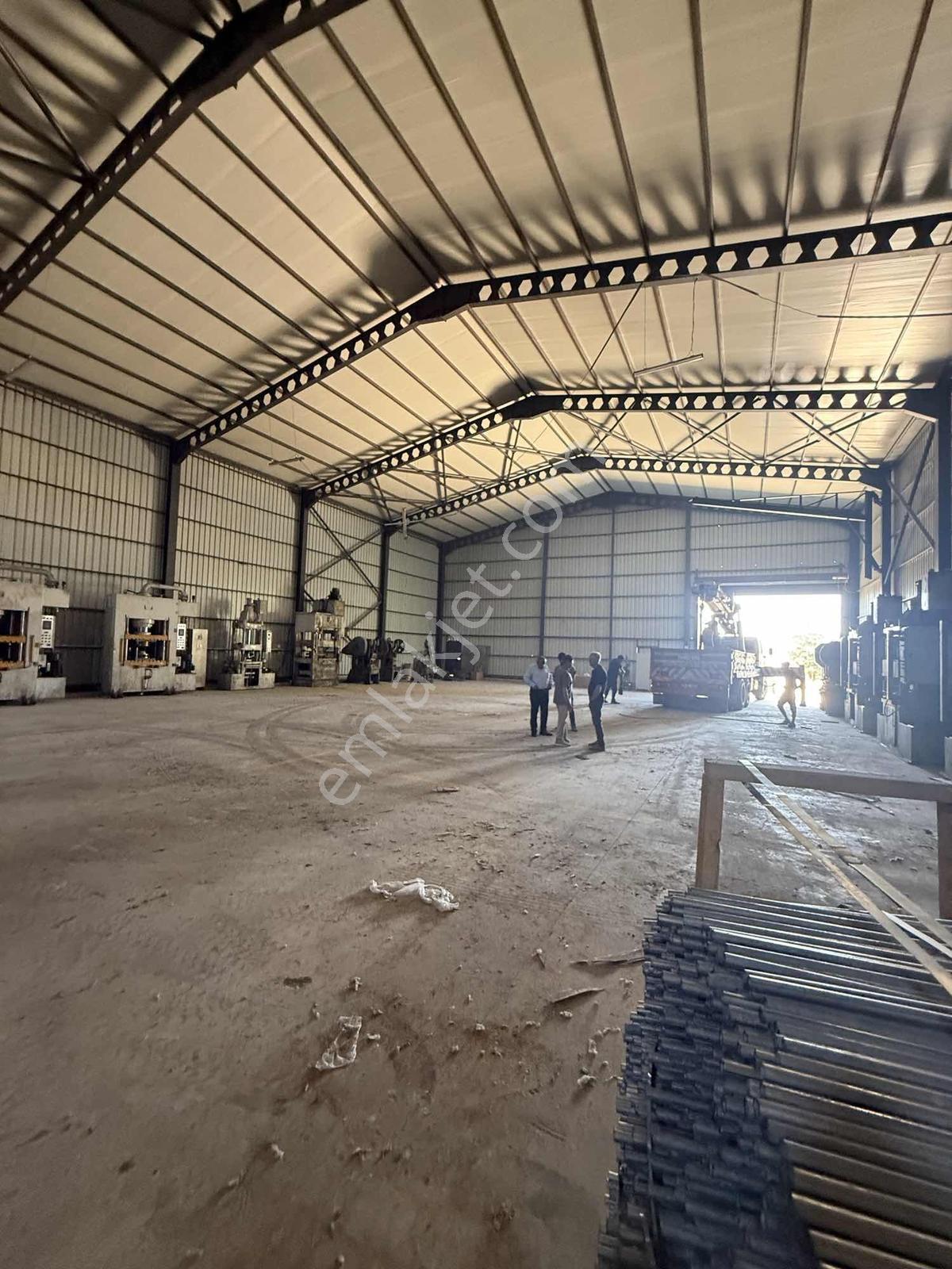 Çatalca'da Kaçırılmayacak Fırsat! 8.800 M² Kurulu Çiftlik - Görsel 31