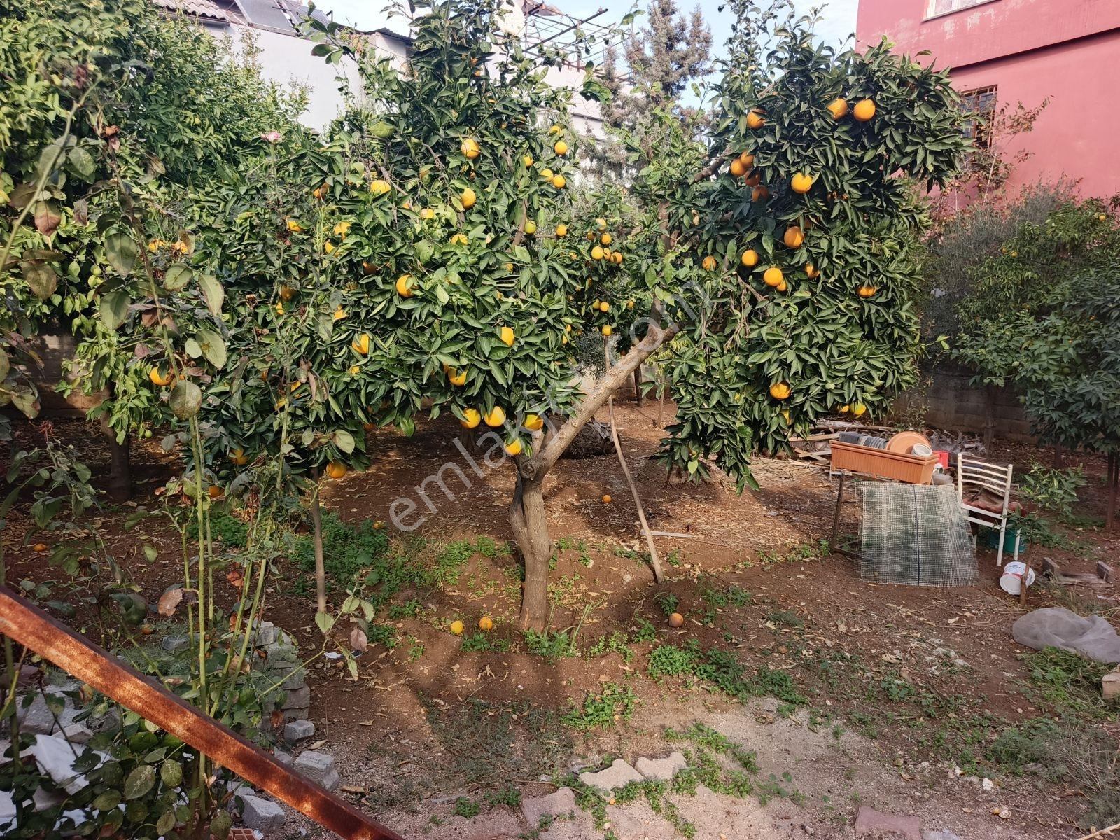 Fevzipaşa Mahallesinde Satılık Müstakil 2. Katlı Ev - Görsel 18
