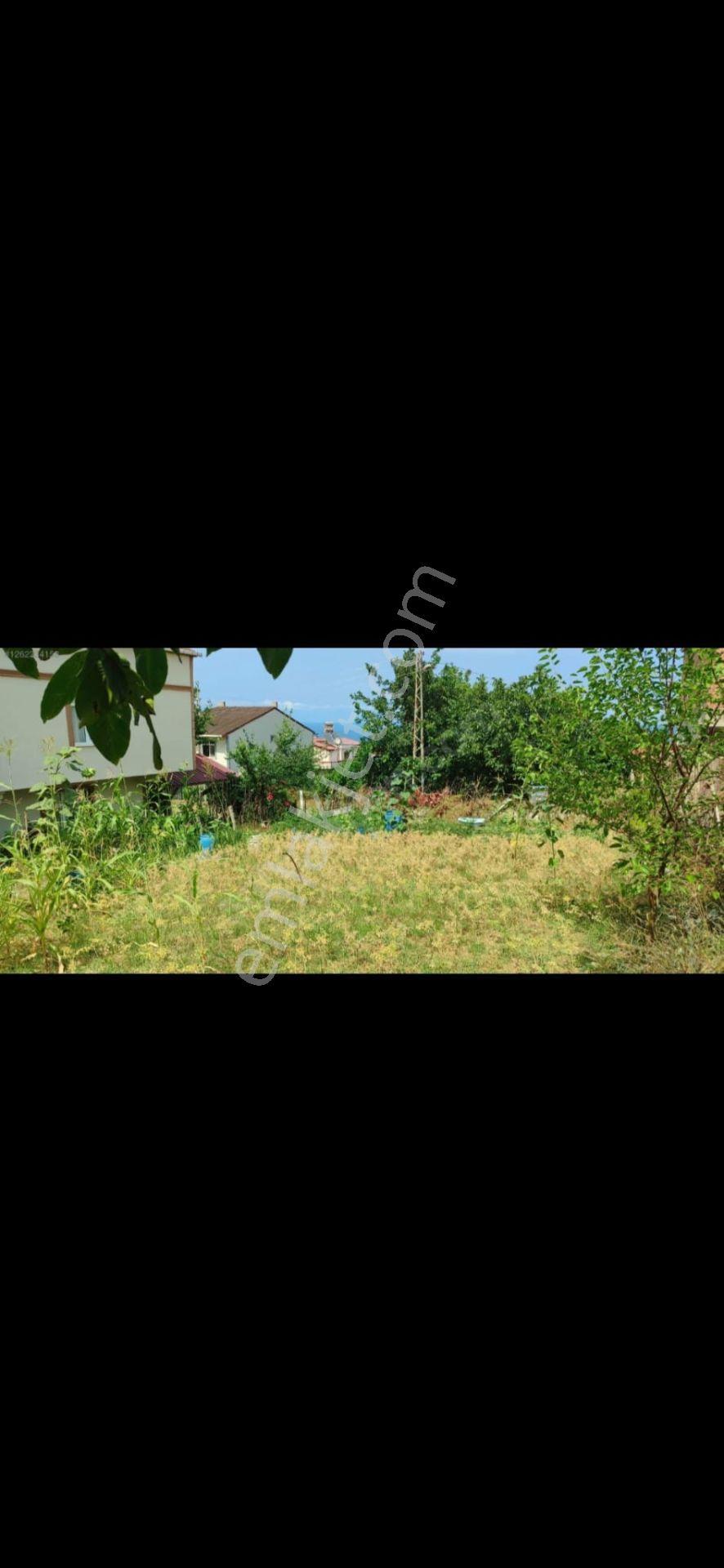 Gerze Devlet Hastanesi'ne 200mt. Mesafede Villalar Girişinde İmarlı Arsa... - Görsel 2