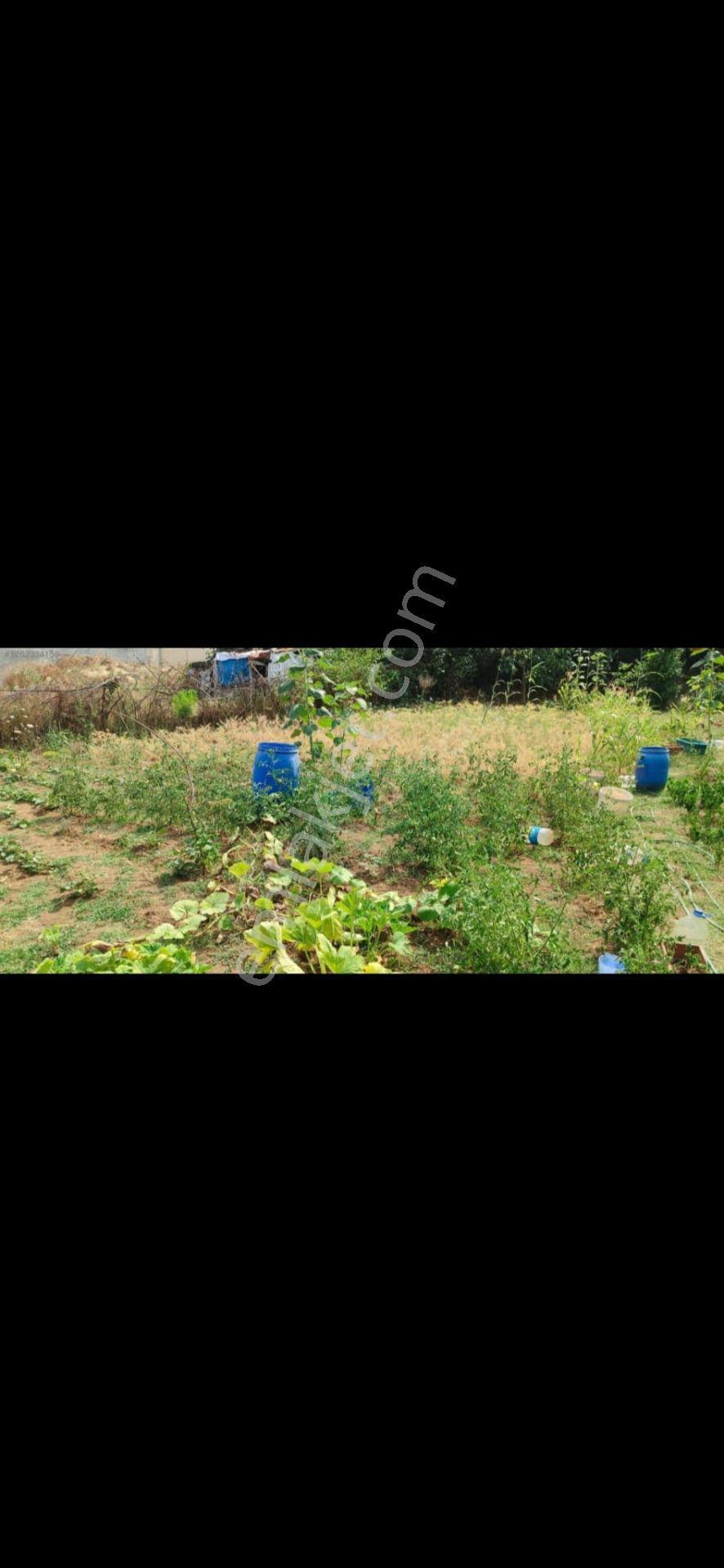 Gerze Devlet Hastanesi'ne 200mt. Mesafede Villalar Girişinde İmarlı Arsa... - Görsel 5