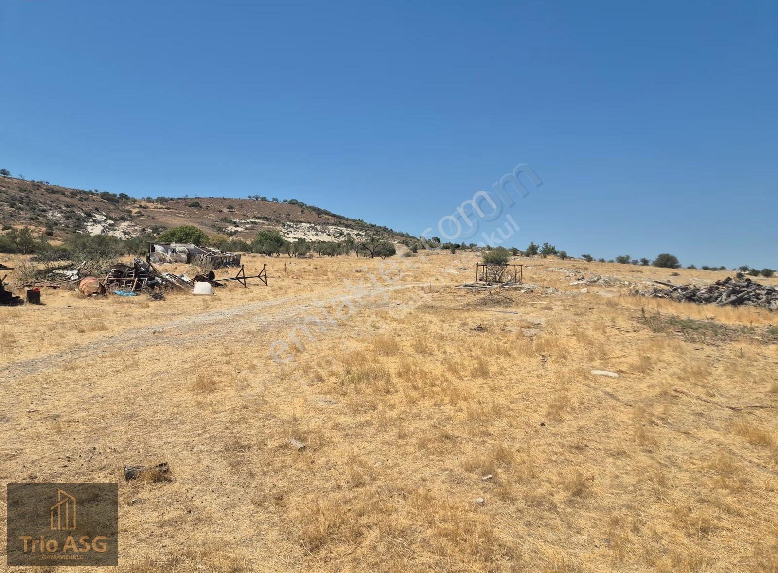 Dikili Çandarlı'da İmara Sınır 600m² Satılık Kooperatif Hissesi