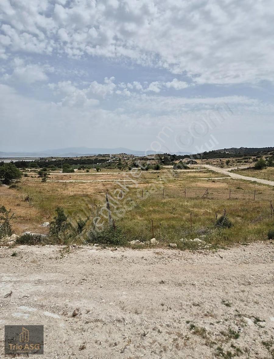 Dikili Çandarlı'da İmara Sınır 600m² Satılık Kooperatif Hissesi - Görsel 5